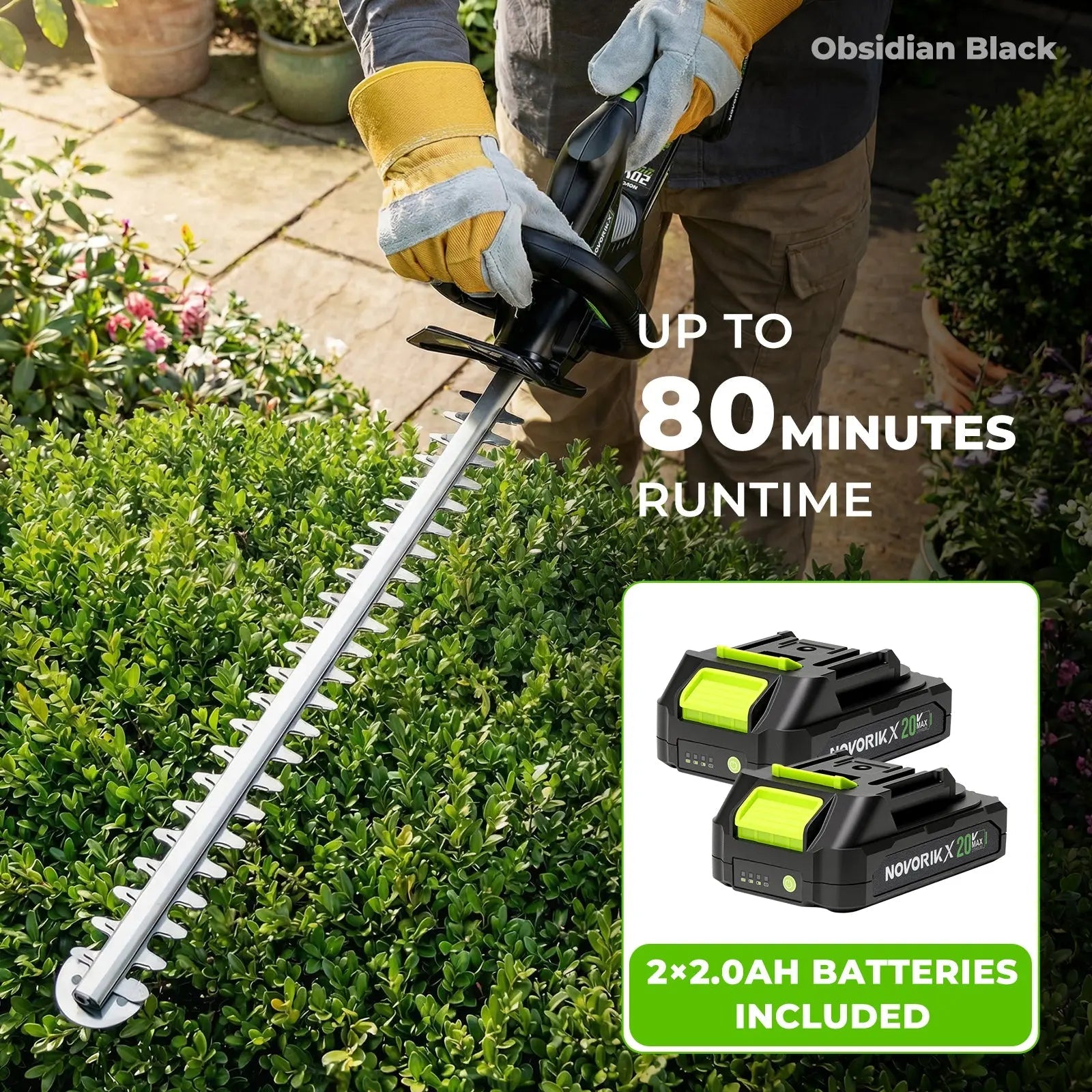 NovorikX Obsidian Black 20V Cordless 17-Inch Pole Hedge Trimmer Kit NovorikX