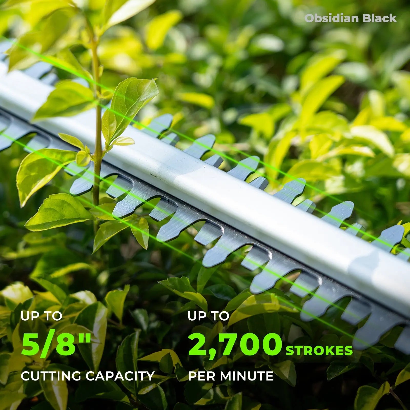 NovorikX Obsidian Black 20V Cordless 17-Inch Pole Hedge Trimmer Kit NovorikX